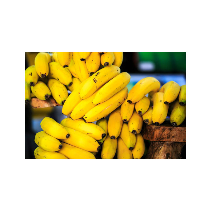 PLATANO IMPORTACION (8 PIEZAS 1 KILO)