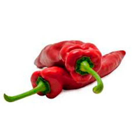 PIMIENTO ROJO ITALIANO