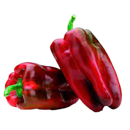 PIMIENTO ROJO LAMUYO