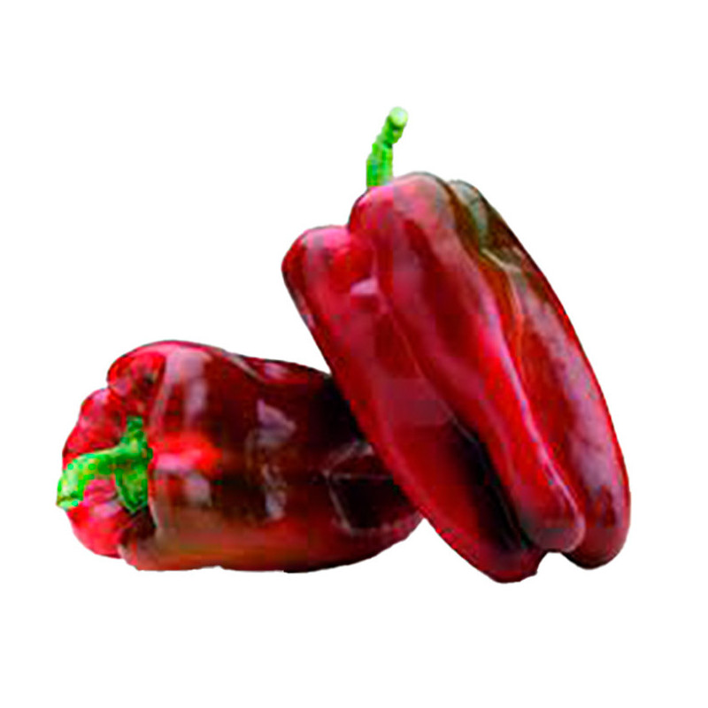 PIMIENTO ROJO LAMUYO