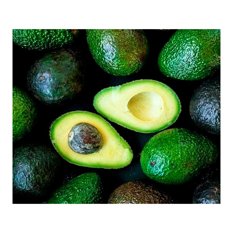 AGUACATE HASS PREMIUN (PIEZA 350 GR.)