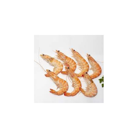 LANGOSTINO COCIDO GORDO