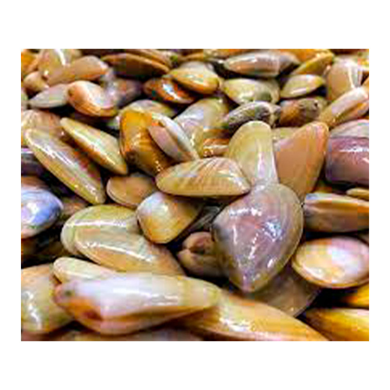 COQUINA 500 GR