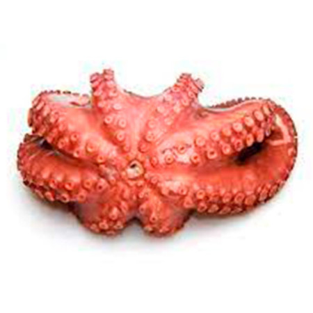 PULPO COCIDO