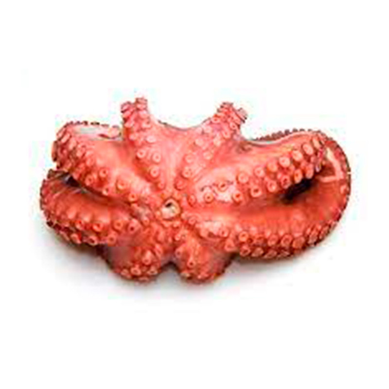 PULPO COCIDO